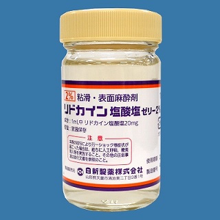 リドカイン塩酸塩ゼリー2%「日新」1mL 100mL×1瓶 (ガラス)(日新製薬)