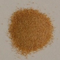 PHOTO1