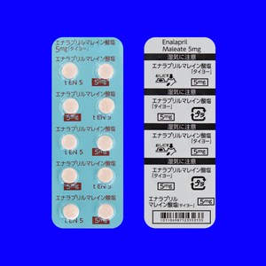 エナラプリルマレイン酸塩錠5mg タイヨー 100錠 武田薬品工業 Focus フォーカス インターネットショップ Medical